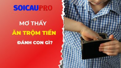 Mơ thấy mình ăn trộm tiền đánh con gì?