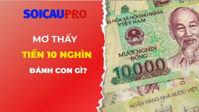 Mơ thấy tiền 10 nghìn đánh con gì?