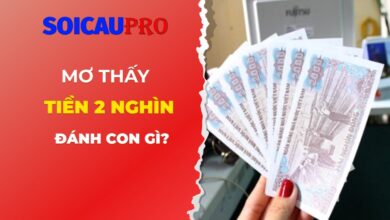 Nằm mơ thấy tiền 2 nghìn đánh con gì?