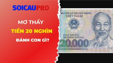 Nằm mơ thấy tiền 20 nghìn đánh con gì?