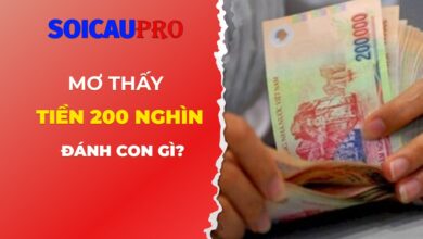 Nằm mơ thấy tiền 200 nghìn đánh con gì?