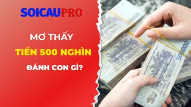 Mơ thấy tiền 500 nghìn đánh con gì?