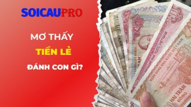 Mơ thấy tiền lẻ đánh con gì?