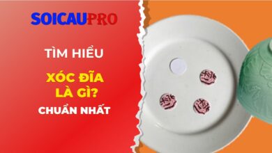 Tìm hiểu xóc đĩa là gì?