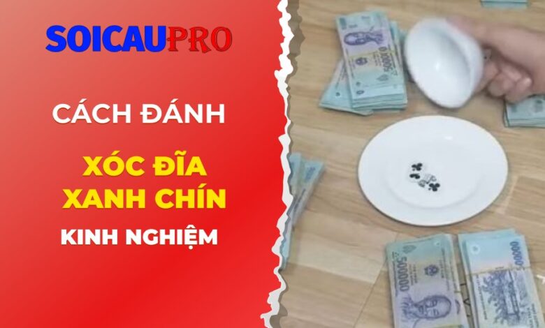 Khám phá quy trình đánh xóc đĩa online